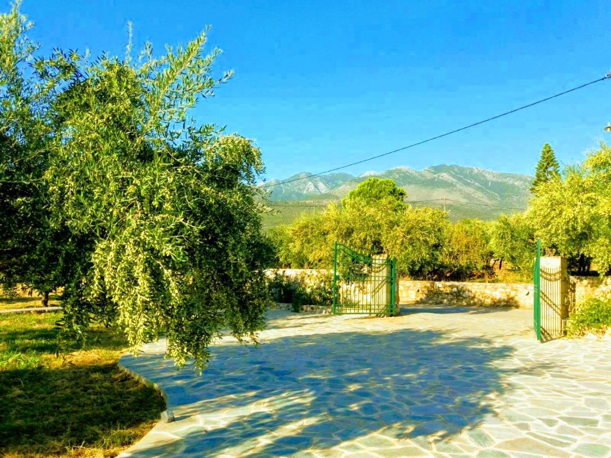 Villa Pefnos Agios Nikolaos  Eksteriør billede