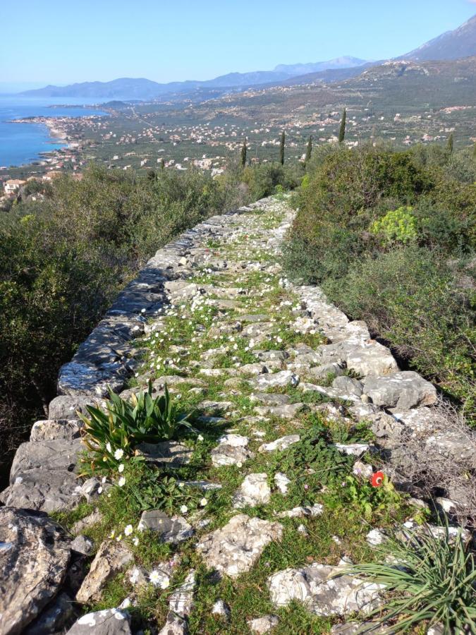 Villa Pefnos Agios Nikolaos  Eksteriør billede