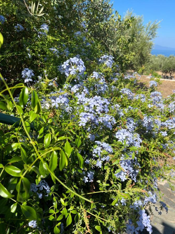 Villa Pefnos Agios Nikolaos  Eksteriør billede