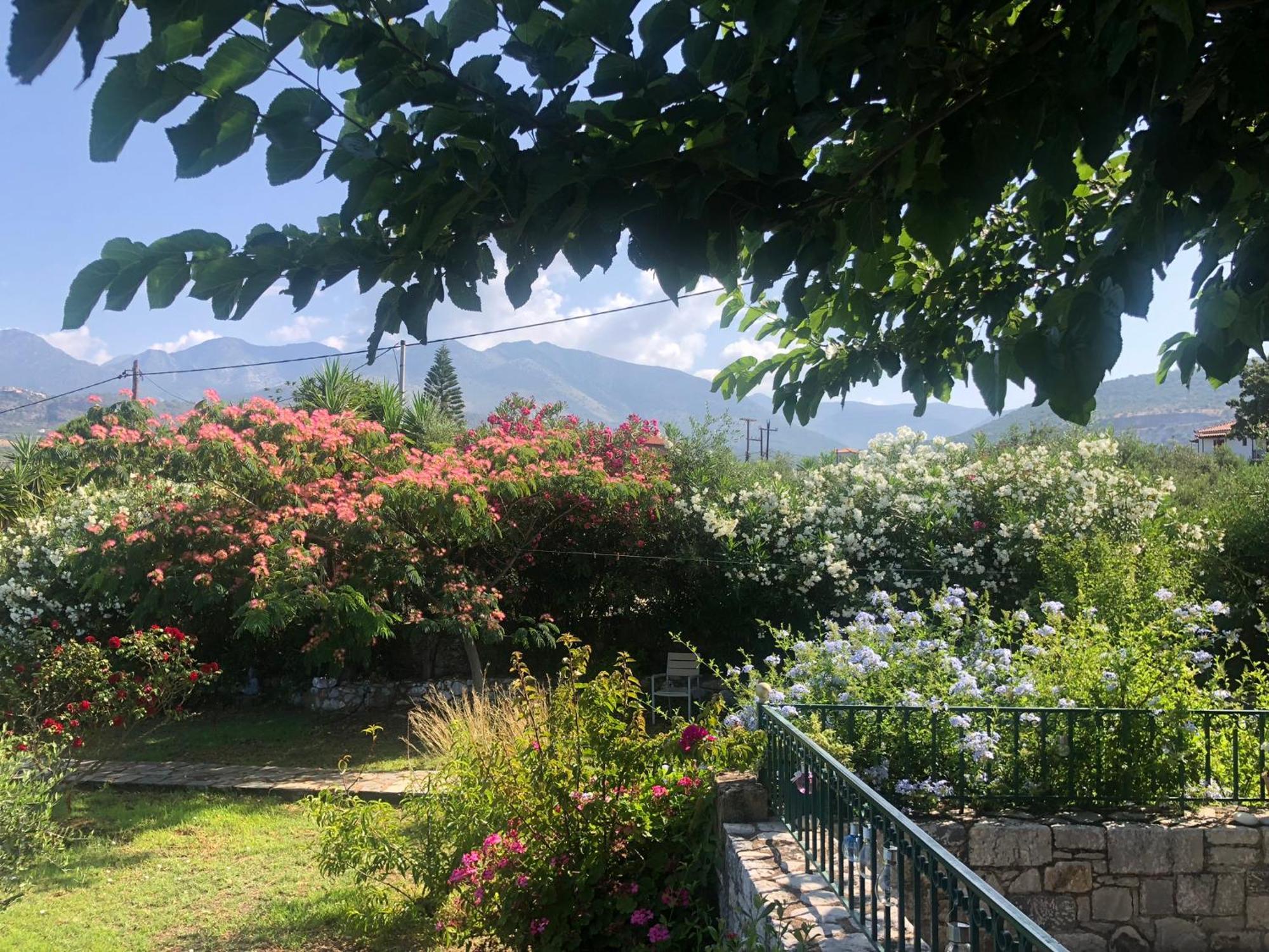 Villa Pefnos Agios Nikolaos  Eksteriør billede