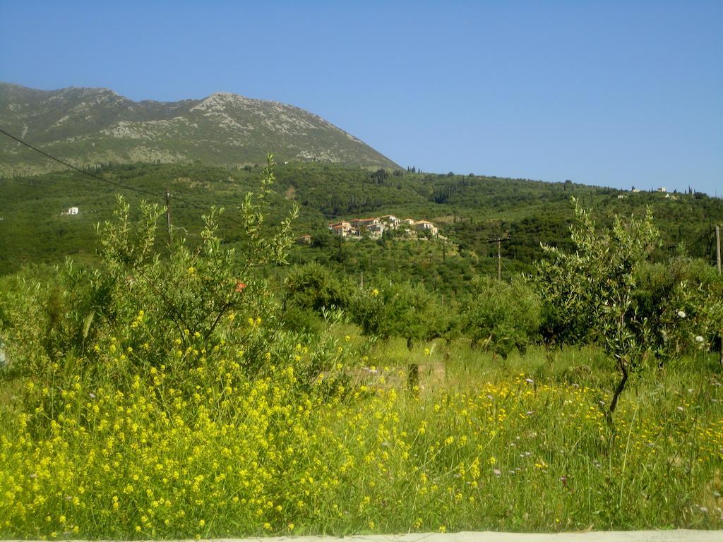 Villa Pefnos Agios Nikolaos  Eksteriør billede